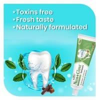 KUDOS AYURVEDA  Neem Clove Toothpaste - Kudos  - 100Gm