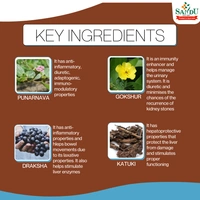 SANDU BROTHERS Punarnavasava - Sandu  - 450Ml