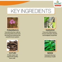 SANDU BROTHERS Punarnavadi Kadha - Sandu  - 450Ml