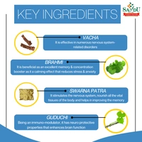 SANDU BROTHERS Saraswatarishta - Sandu - 450Ml