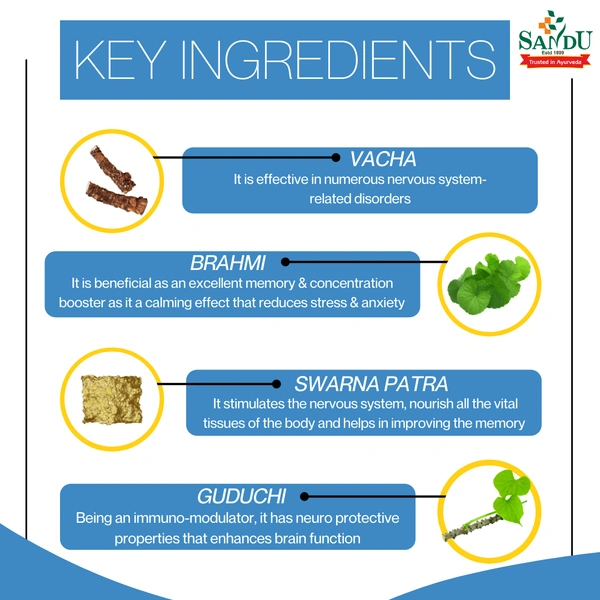 SANDU BROTHERS Saraswatarishta - Sandu  - 450Ml