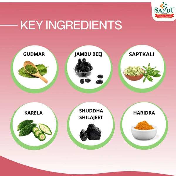 SANDU BROTHERS Debix Tablet - Sandu  - 30 Tablets