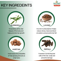 SANDU BROTHERS Bhringajeevani - Sandu  - 450Ml