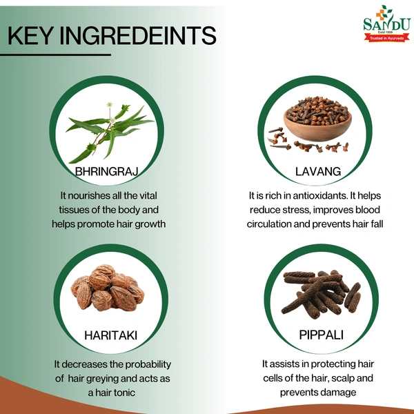 SANDU BROTHERS Bhringajeevani - Sandu  - 450Ml