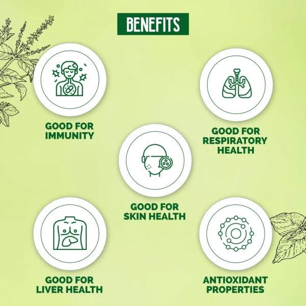 DABUR INDIA LIMITED Giloy Neem Juice With Tulsi - Dabur - 1L