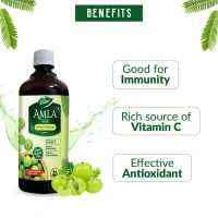 DABUR INDIA LIMITED Amla Juice - Dabur - 1L