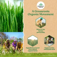 ORGANIC INDIA Wheat Grass Powder (Tin) - Organic - 100gm