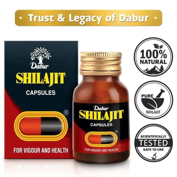 DABUR INDIA LIMITED Shilajit Capsule - Dabur  - 100Capsule