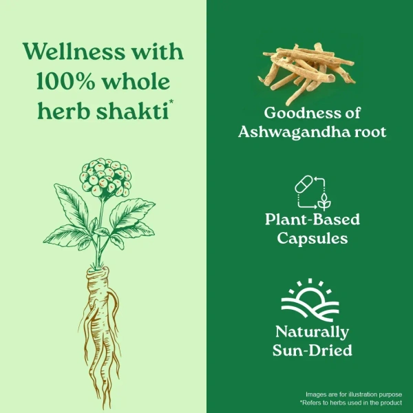 ORGANIC INDIA Ashwaganda Capsule - Organic - 60Capsule