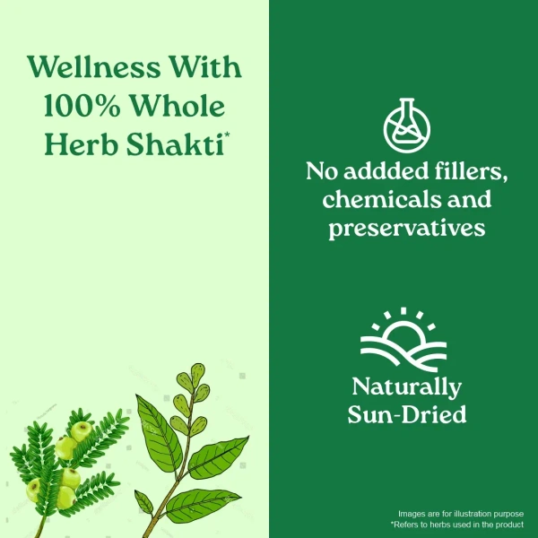 ORGANIC INDIA Triphala Powder - Organic - 100g