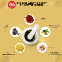 DABUR INDIA LIMITED Shilajit Double Gold - Dabur - 10Capsule