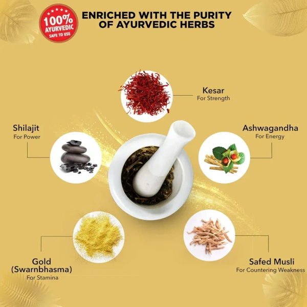 DABUR INDIA LIMITED Shilajit Double Gold - Dabur - 10Capsule