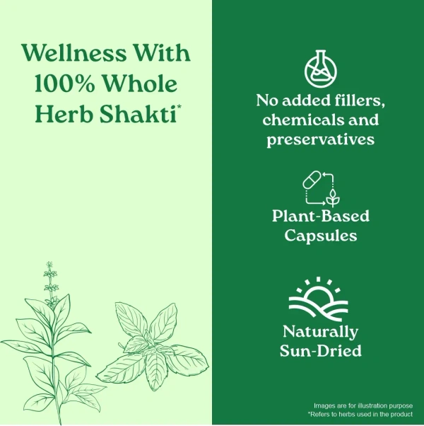 ORGANIC INDIA Immunity Capsule - Organic - 60Capsule