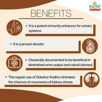 SANDU BROTHERS Gokshur Kadha - Sandu  - 200Ml