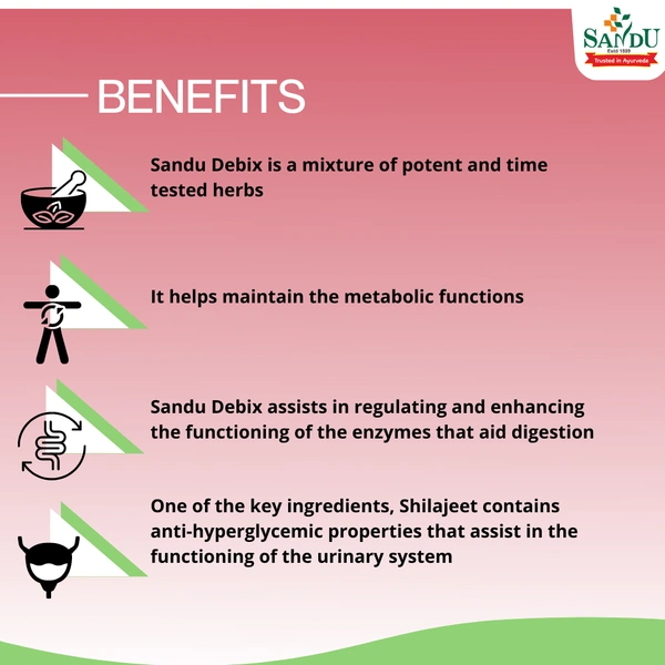 SANDU BROTHERS Debix Tablet - Sandu  - 30 Tablets