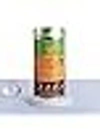 ORGANIC INDIA Tulsi Ginger  Organic INDIA - 100gm