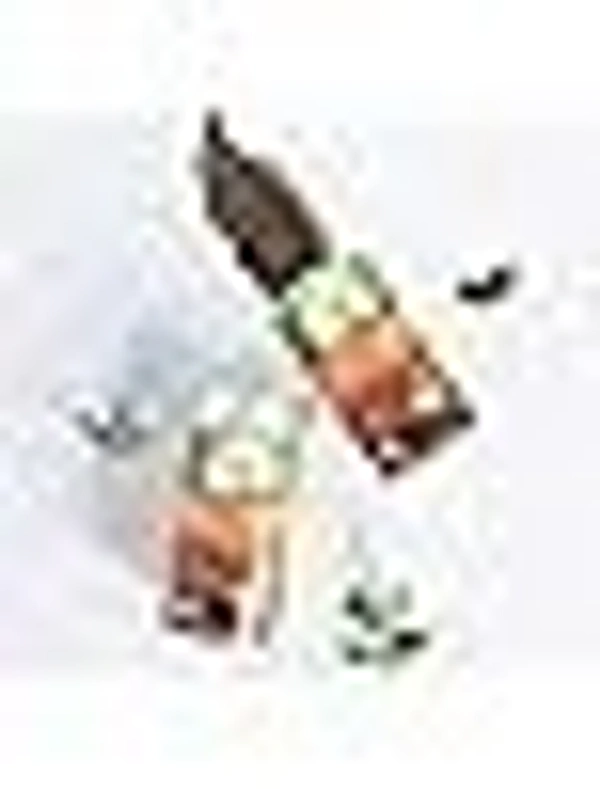 ORGANIC INDIA Tulsi Ginger  Organic INDIA - 100gm