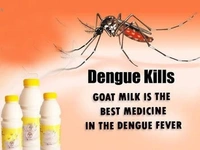 AIM WELL PHARMA Plus-P Tablet - Aim well - 100 Tablet