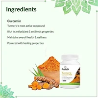 GUDUCHI THE AYURVEDI Turmeric Curcumin 95%Capsules - Guduchi - 60Capsules