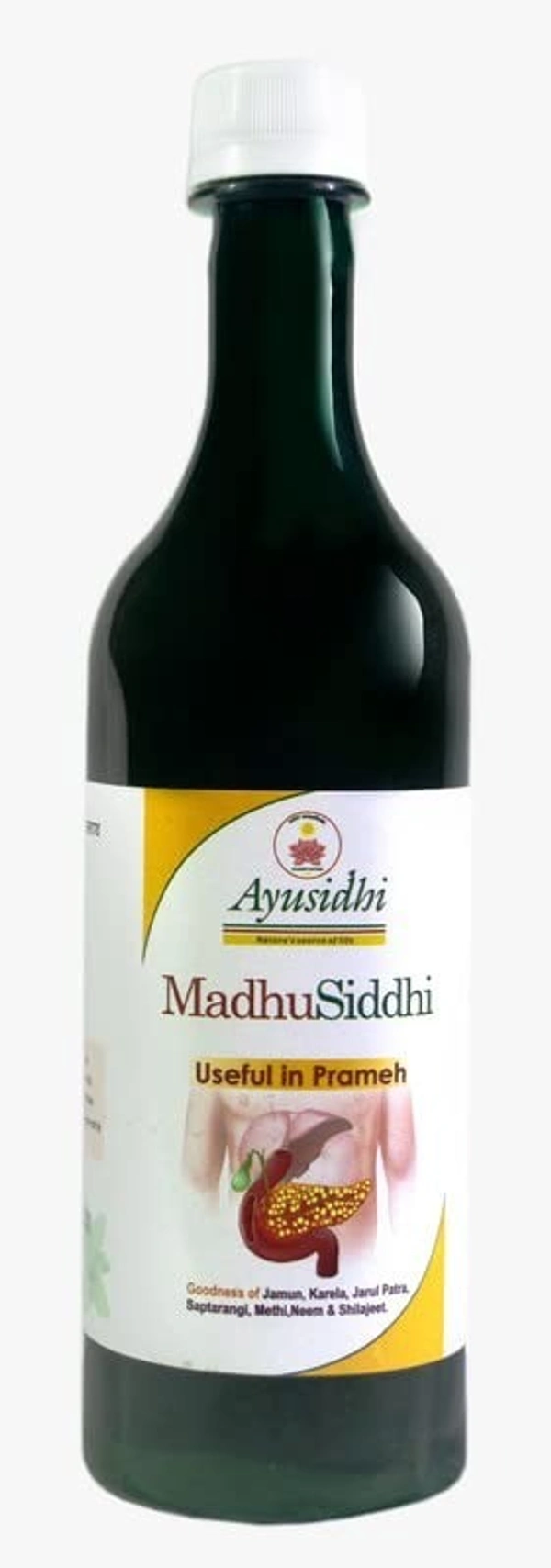 AYUSIDDHI HERBALS Madhusiddhi Syrup - Ayusiddhi - 600ml