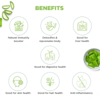 DABUR INDIA LIMITED Aloe Vera Juice - Dabur - 1L