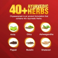 DABUR INDIA LIMITED Chyawanprash - Dabur  - 950g