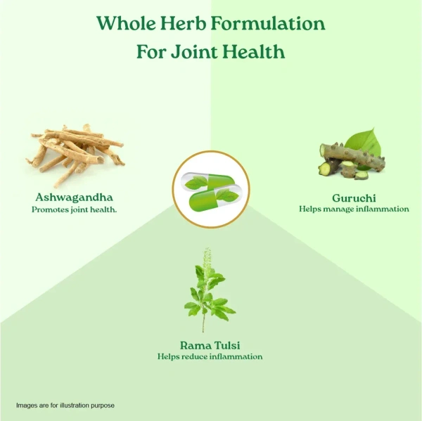 ORGANIC INDIA Flexibility Capsule - Organic - 60Capsule