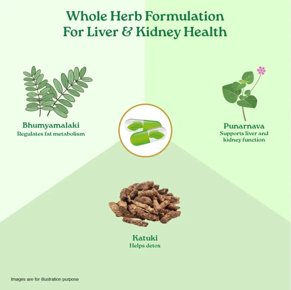 ORGANIC INDIA Liver Kidney Care Capsule - Organic - 60Capsule