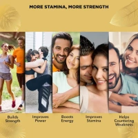 DABUR INDIA LIMITED Shilajit Double Gold - Dabur - 10Capsule