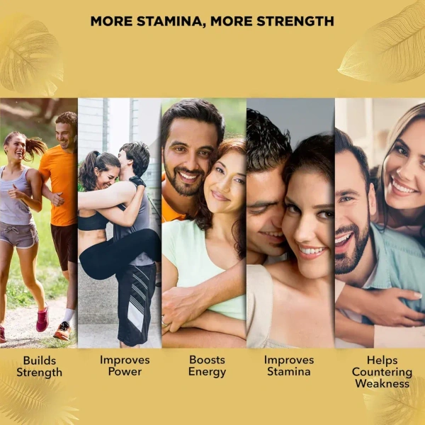 DABUR INDIA LIMITED Shilajit Double Gold - Dabur - 10Capsule