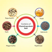 BAIDYANATH  Chandraprabha Bati - Baidyanath - 40Tablet