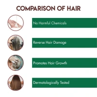 JOVEES HERBAL CARE Argan Kernal Oil Hair Repair Shampoo - Jovees - 300ml