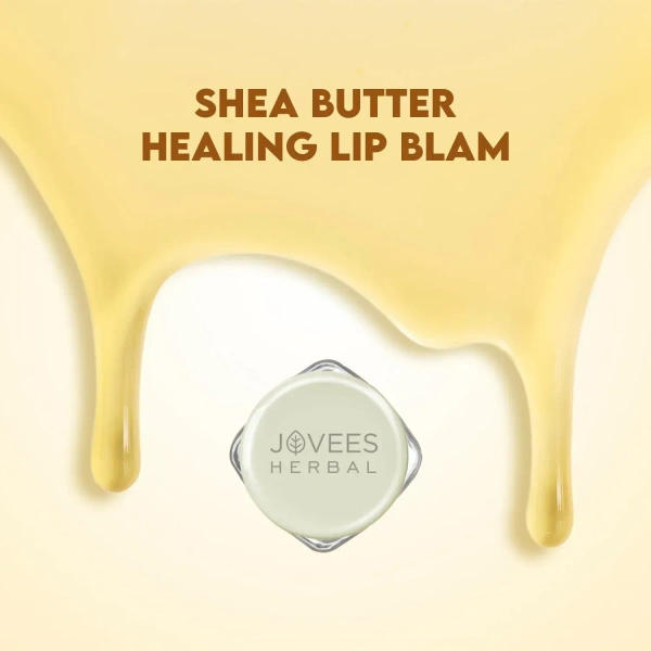 JOVEES HERBAL CARE  Shea Butter Healing Lip Balm - Jovees  - 8G