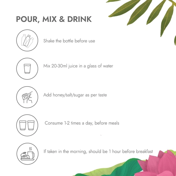 KAPIVA Amla Juice 1L - Kapiva - 1l