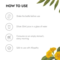 KAPIVA BP Care Juice - Kapiva - 1l