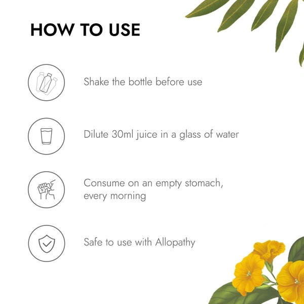 KAPIVA BP Care Juice - Kapiva - 1l