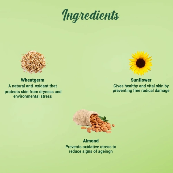 BIOTIQUE Wheat Germ Anti-Ageing Night Cream - Biotique - 50gm