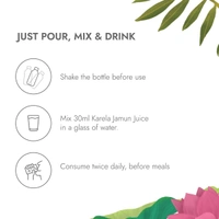 KAPIVA Karela Jamun Juice -  Kapiva - 1l