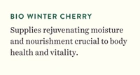 BIOTIQUE Wintercherry - Biotique - 190ml