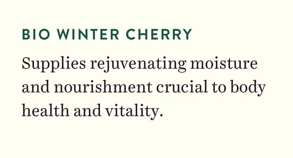 BIOTIQUE Wintercherry - Biotique - 190ml