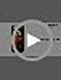 ORGANIC INDIA Tulsi Ginger  Organic INDIA - 100gm