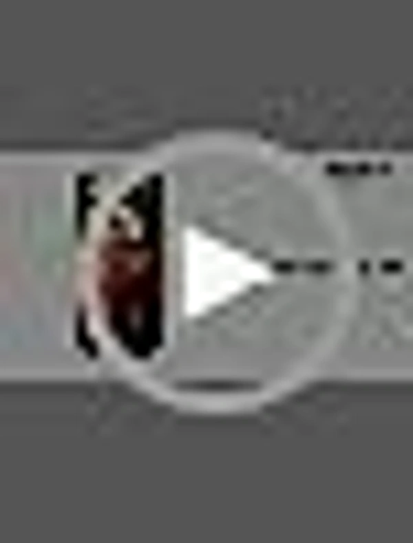 ORGANIC INDIA Tulsi Ginger  Organic INDIA - 100gm