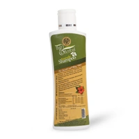 THE ARYA VAIDYA PHARMACY Hair & Herbal Ayurvedic Shampoo - AVP - 100Ml