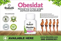 GUDUCHI THE AYURVEDI Obesidat Combi Tablet  - Guduchi - 60Tablet