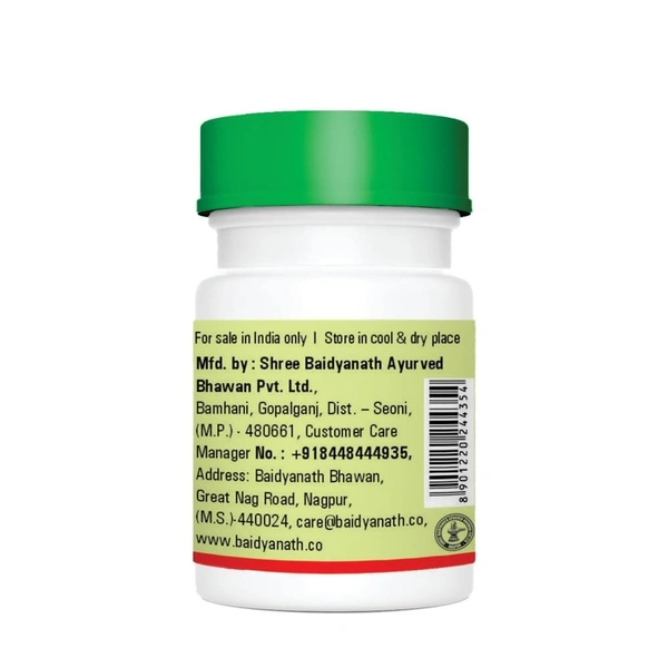 BAIDYANATH AYURVED B Nagarjunabhra Ras - Baidyanath - 40Tablet