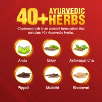 DABUR INDIA LIMITED Chyawanaprasha - Dabur  - 500gm