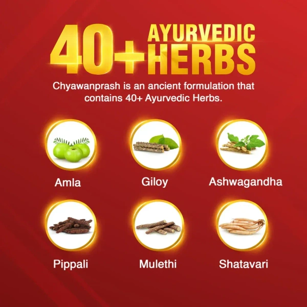 DABUR INDIA LIMITED Chyawanaprasha - Dabur  - 500gm