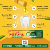 DABUR INDIA LIMITED Meswak Paste - Dabur  - 300Gm