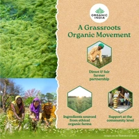 ORGANIC INDIA Wheat Grass Powder (Tin) - Organic - 100gm