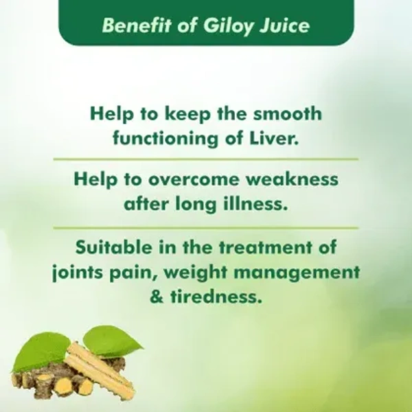 BAIDYANATH  Giloy Juice - Baidyanath - 1L